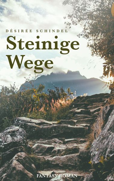Cover von steinige Wege