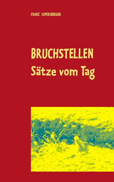 Cover von Bruchstellen