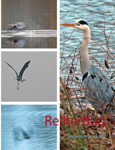 Cover von Reiherflug