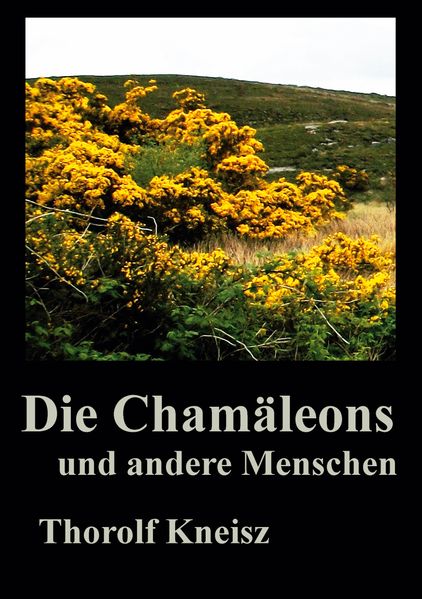 Cover von Die Chamäleons und andere Menschen