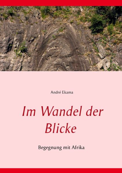 Cover von Im Wandel der Blicke