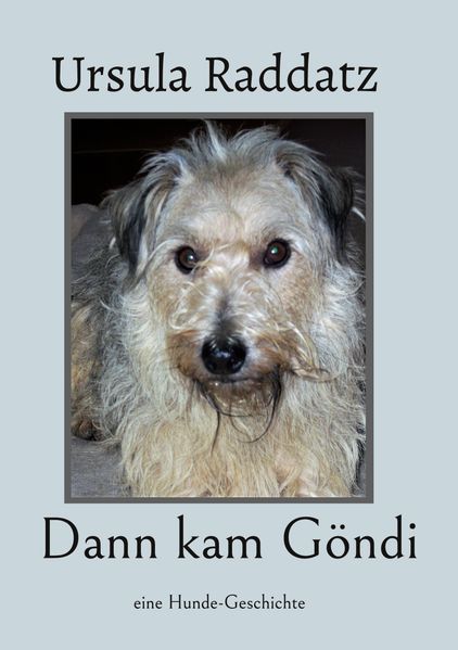 Cover von Dann kam Göndi