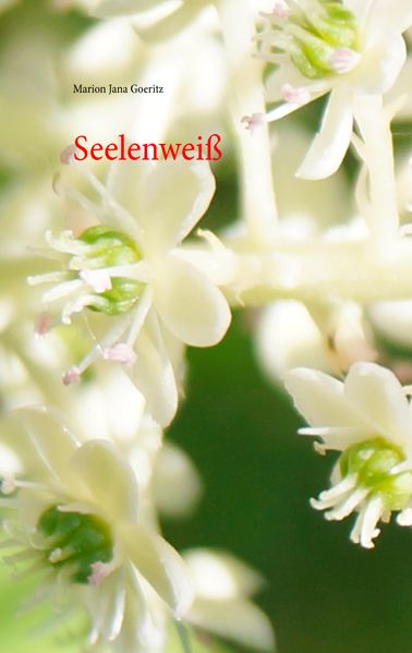 Cover von Seelenweiß