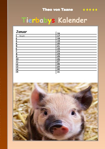 Cover von Tierbabys – Kalender