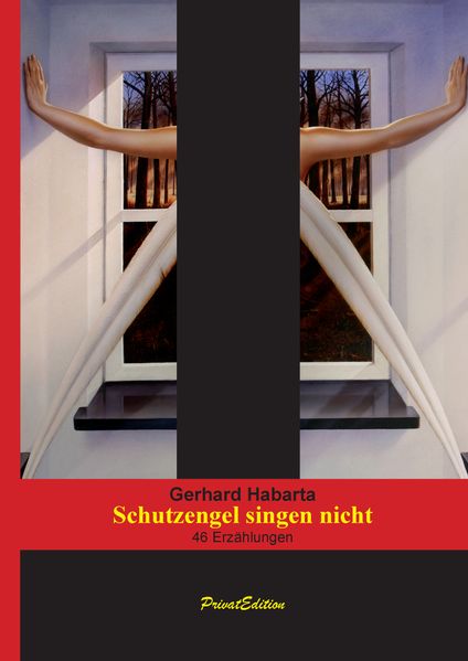 Cover von Schutzengel singen nicht