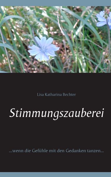 Cover von Stimmungszauberei