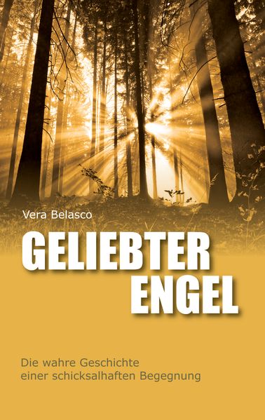 Cover von Geliebter Engel