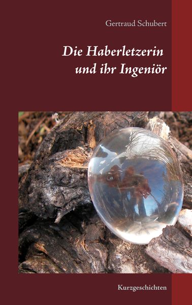 Cover von Die Haberletzerin und ihr Ingeniör