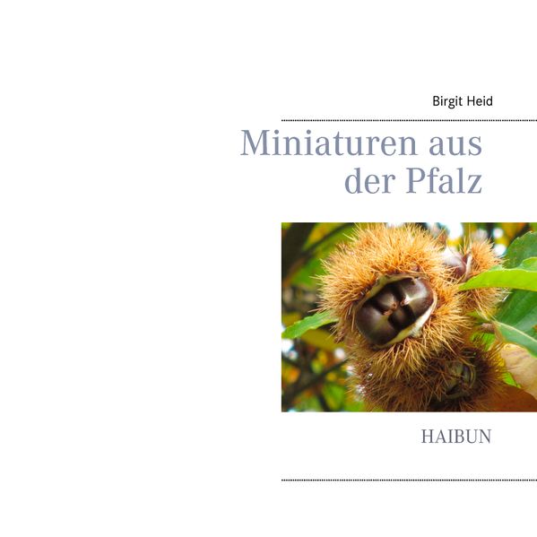 Cover von Miniaturen aus der Pfalz