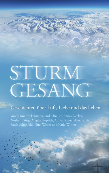 Cover von Sturmgesang