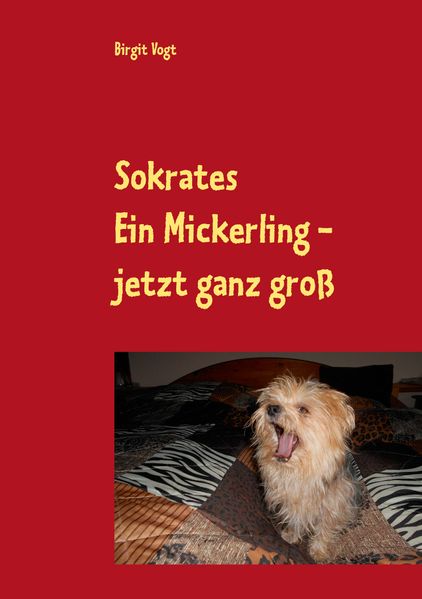 Cover von Sokrates Ein Mickerling – jetzt ganz groß