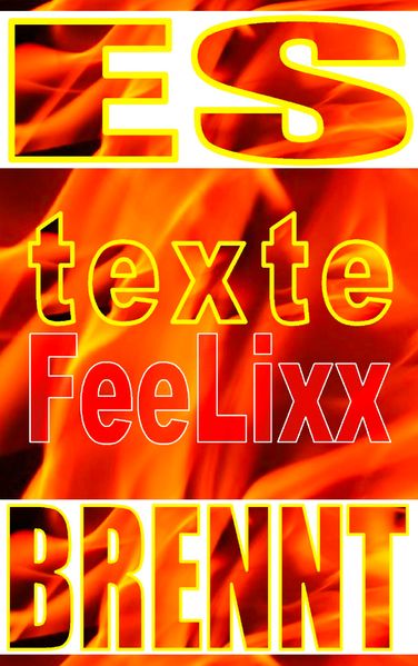 Cover von Es brennt
