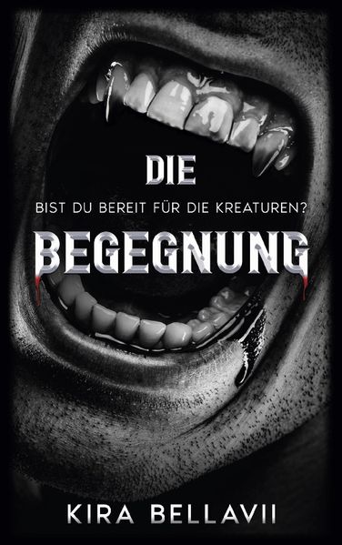Cover von Die Begegnung