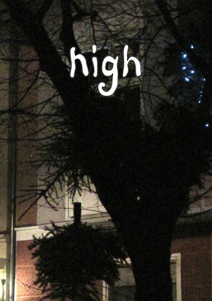 Cover von High