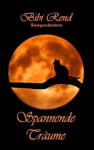 Cover von Spannende Träume