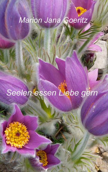 Cover von Seelen essen Liebe gern