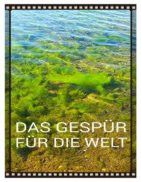 Cover von Das Gespür für die Welt