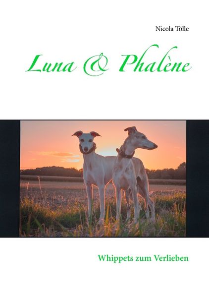 Cover von Luna & Phalène