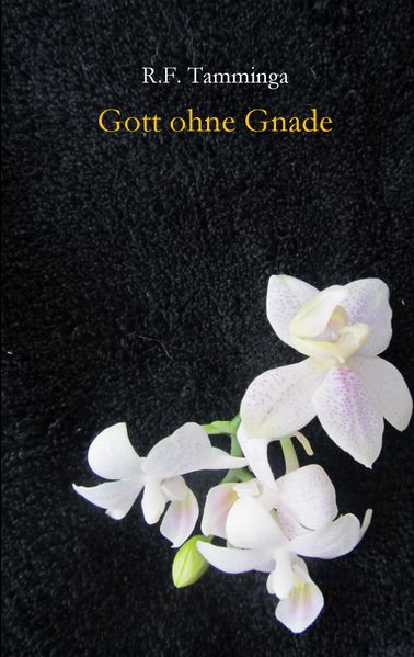 Cover von Gott ohne Gnade