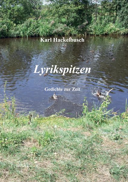 Cover von Lyrikspitzen