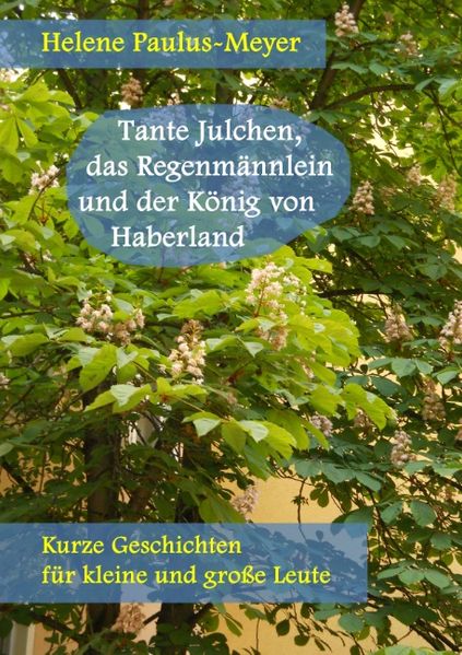 Cover von Tante Julchen, das Regenmännlein und der König von Haberland