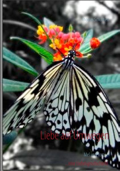 Cover von Liebe auf Umwegen