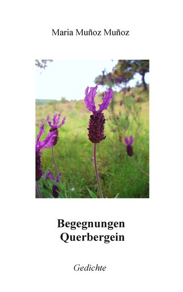 Cover von Begegnungen Querbergein
