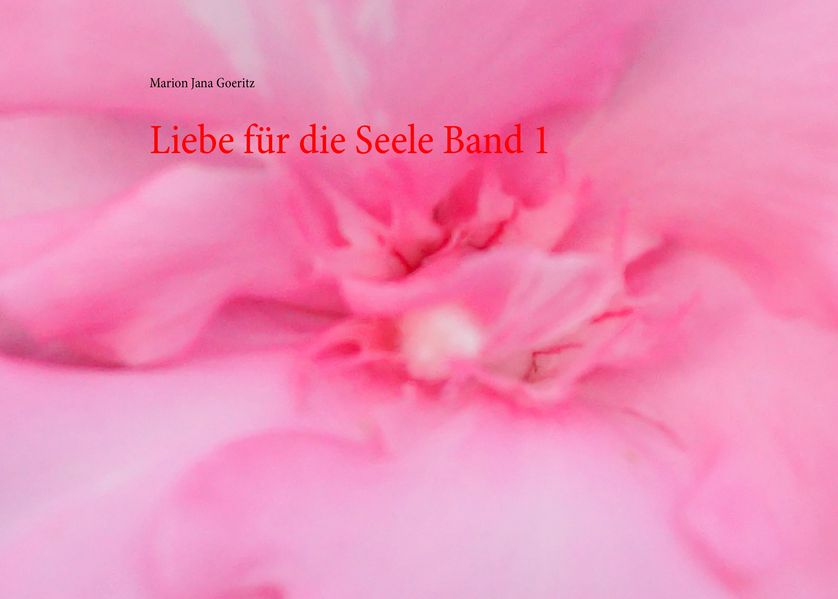 Cover von Liebe für die Seele Band 1