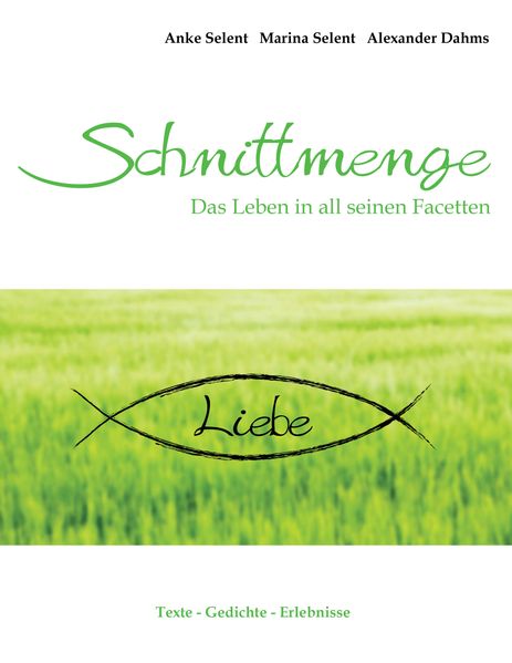 Cover von Schnittmenge Liebe