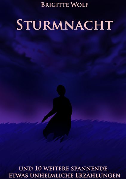 Cover von Sturmnacht