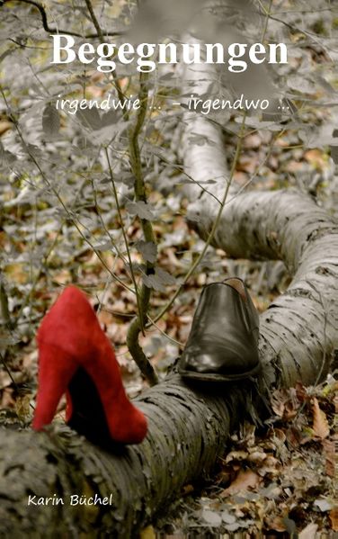 Cover von Begegnungen