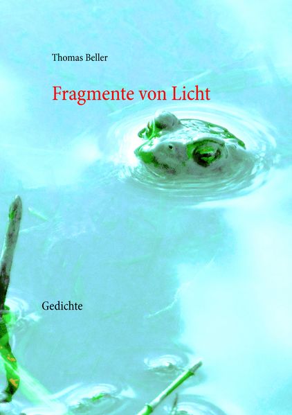 Cover von Fragmente von Licht