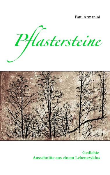 Cover von Pflastersteine