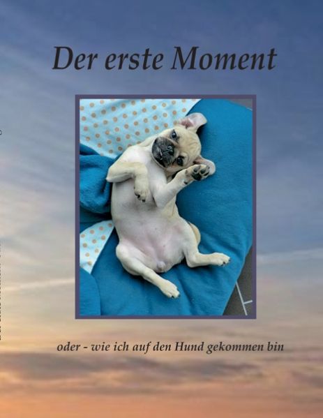 Cover von Der erste Moment