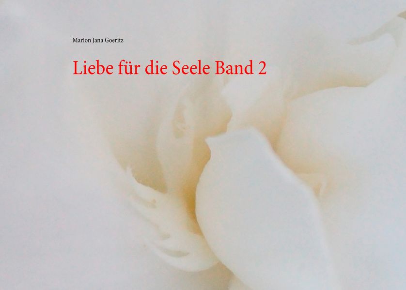 Cover von Liebe für die Seele Band 2