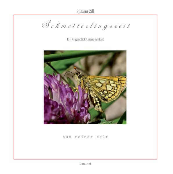 Cover von Schmetterlingszeit