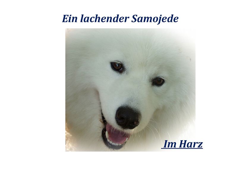 Cover von Kalenderbuch 2015