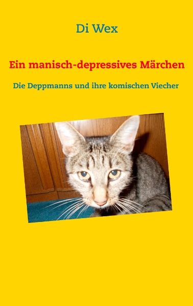 Cover von Ein manisch-depressives Märchen
