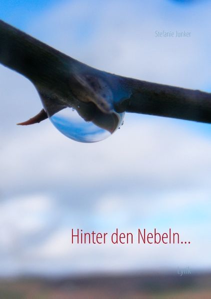 Cover von Hinter den Nebeln…