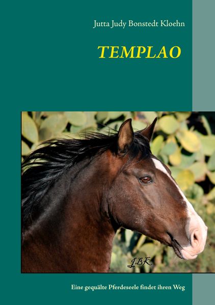 Cover von TEMPLAO