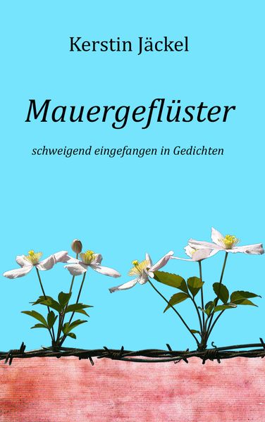 Cover von Mauergeflüster