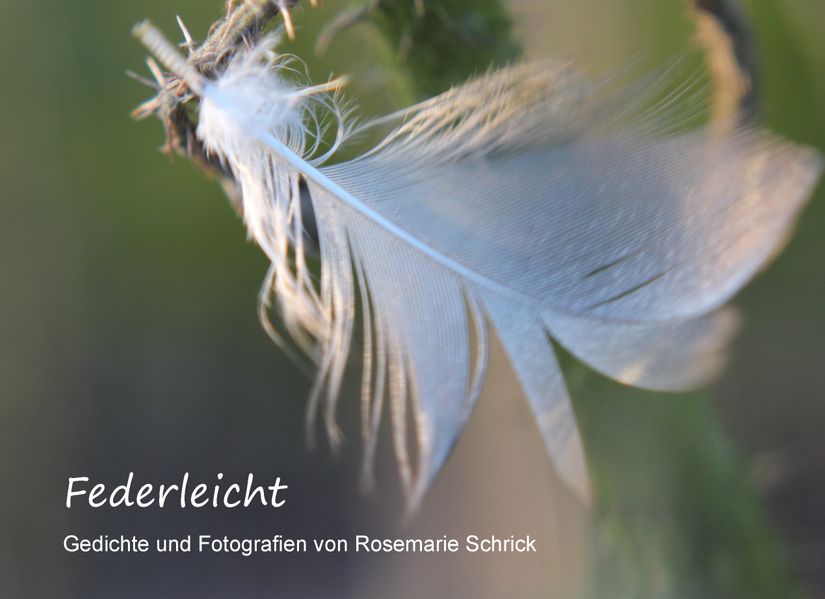 Cover von Federleicht