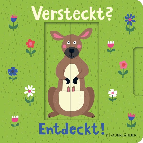 Cover von Versteckt? Entdeckt!