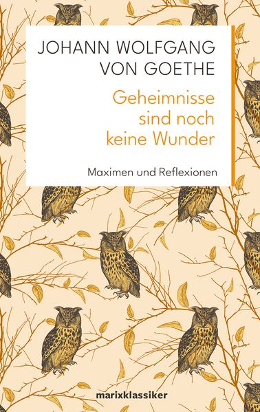 Cover von Geheimnisse sind noch keine Wunder