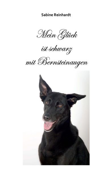 Cover von Mein Glück ist schwarz mit Bernsteinaugen