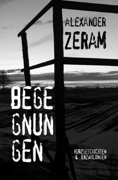 Cover von BEGEGNUNGEN