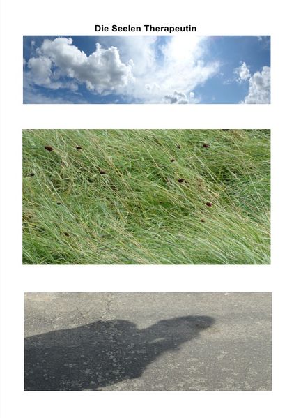 Cover von Die Seelen Therapeutin