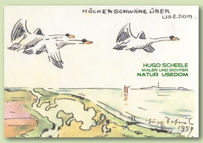 Cover von Hugo Scheele   Natur Usedom