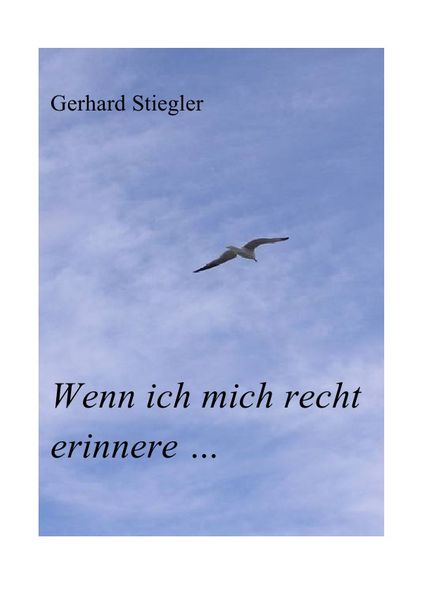 Cover von Wenn ich mich recht erinnere …