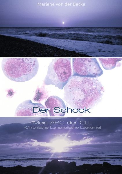 Cover von Der Schock